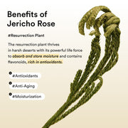 Abib Vegan Collagen Eye Patch Jericho Rose Jelly — 60 Patches