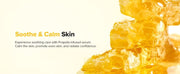 Beauty of Joseon Glow Serum Propolis + Niacinamide — 30 mL