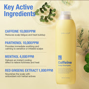 NINELESS Root-Biome Caffeine Scalp Shampoo — 300 mL